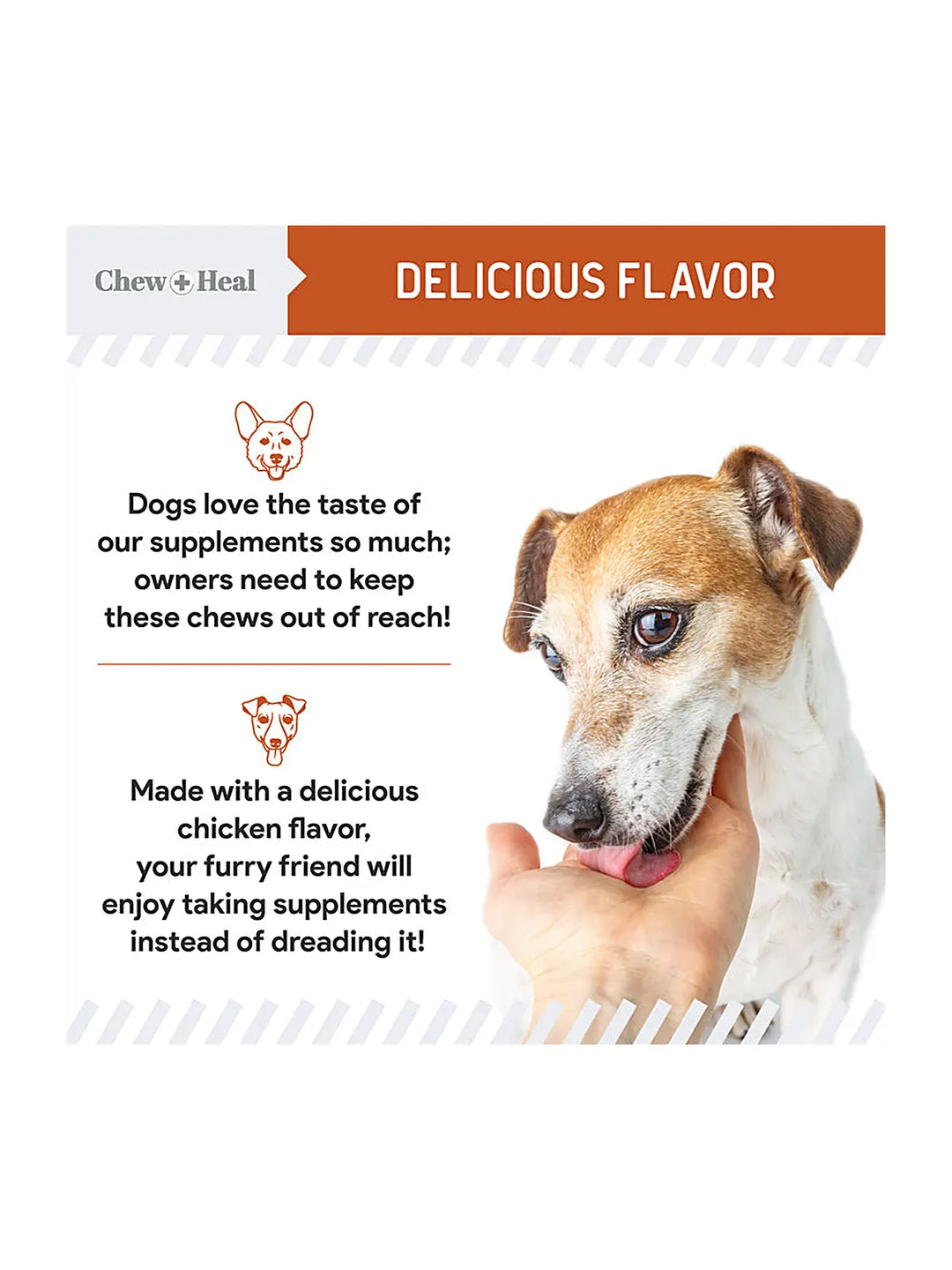 Calming Anxiety Relief Bites for Dogs - 60 Chews