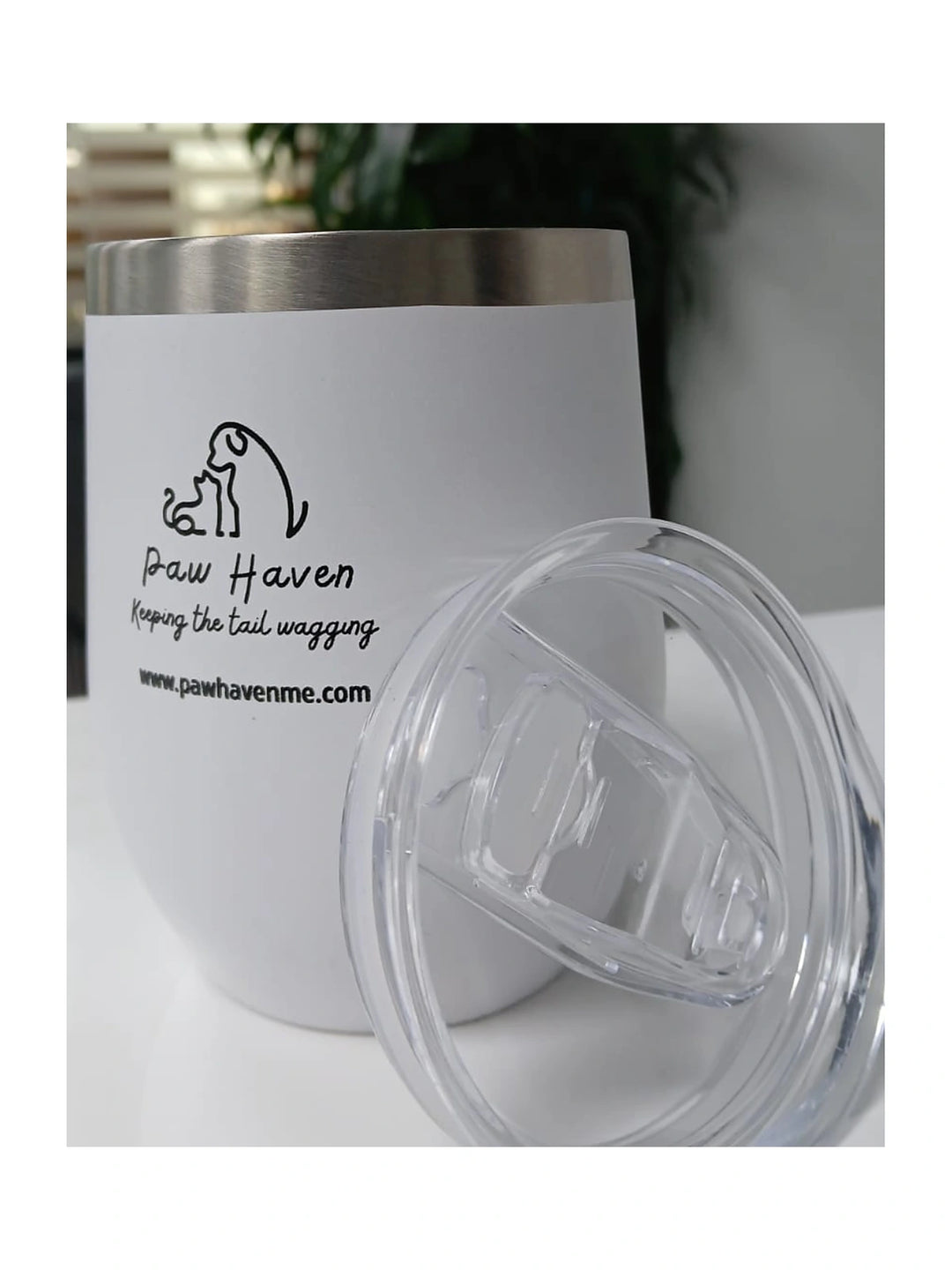 Stainless Steel Tumbler (Live love wag )