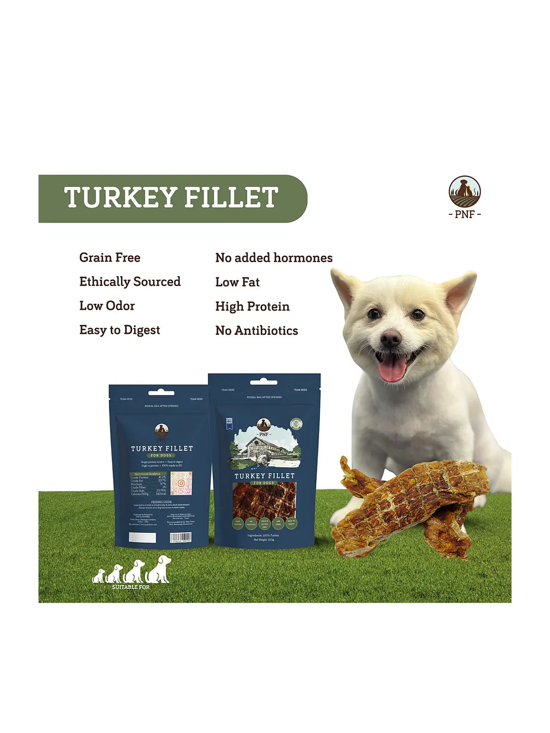 Turkey Fillet 100g