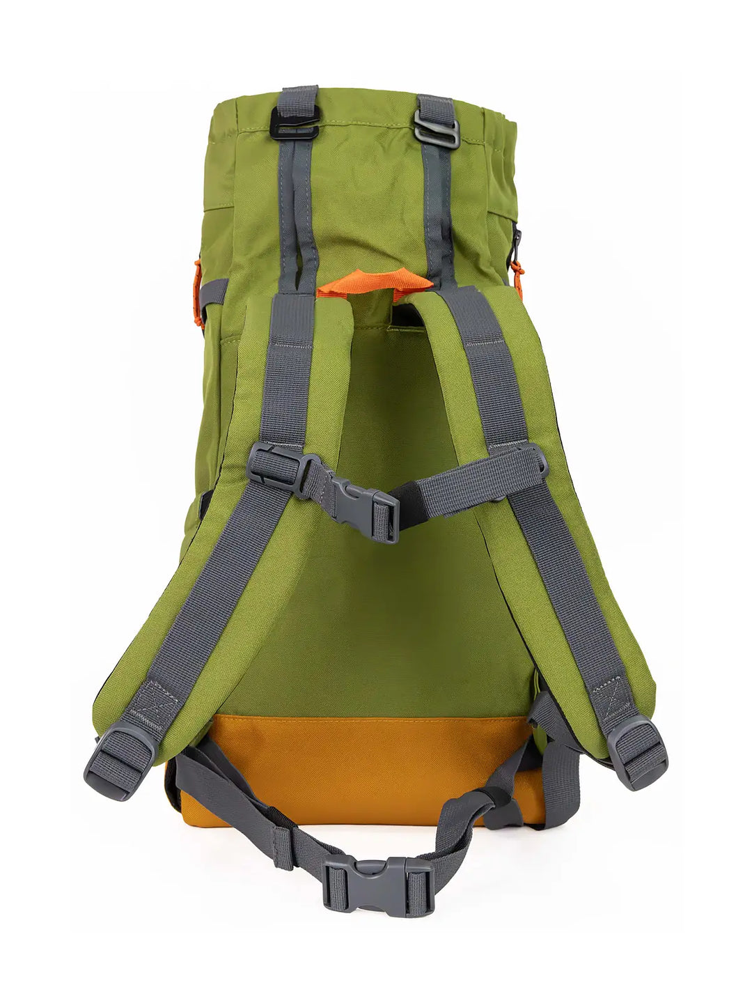 Urban 3  Dual Use Dog Carrier & Traditional Backpack - Green