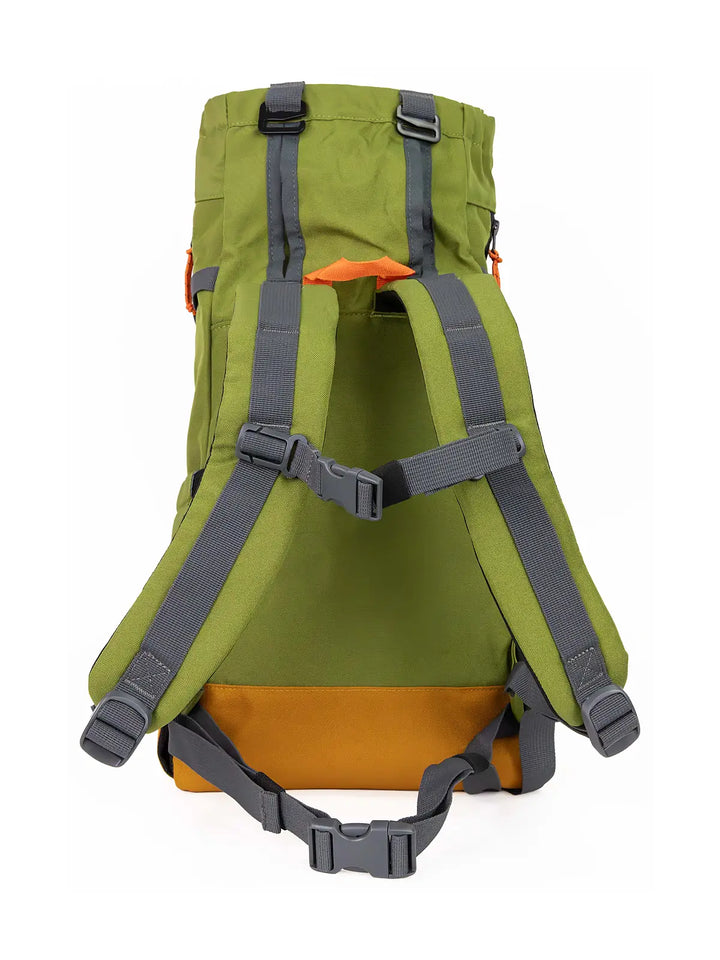 Urban 3  Dual Use Dog Carrier & Traditional Backpack - Green