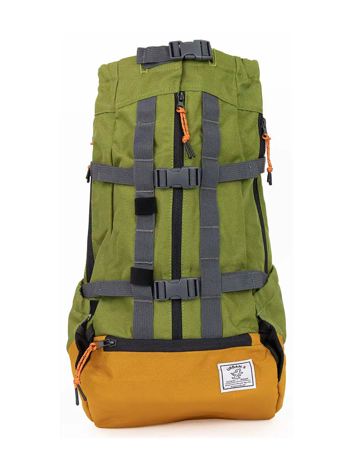 Urban 3  Dual Use Dog Carrier & Traditional Backpack - Green