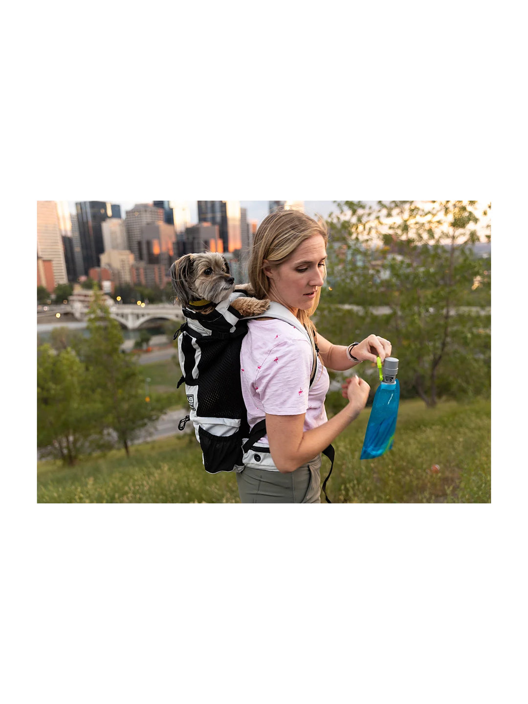 Buy Vapur EZ Lick Portable for Dogs Online - Paw Haven UAE