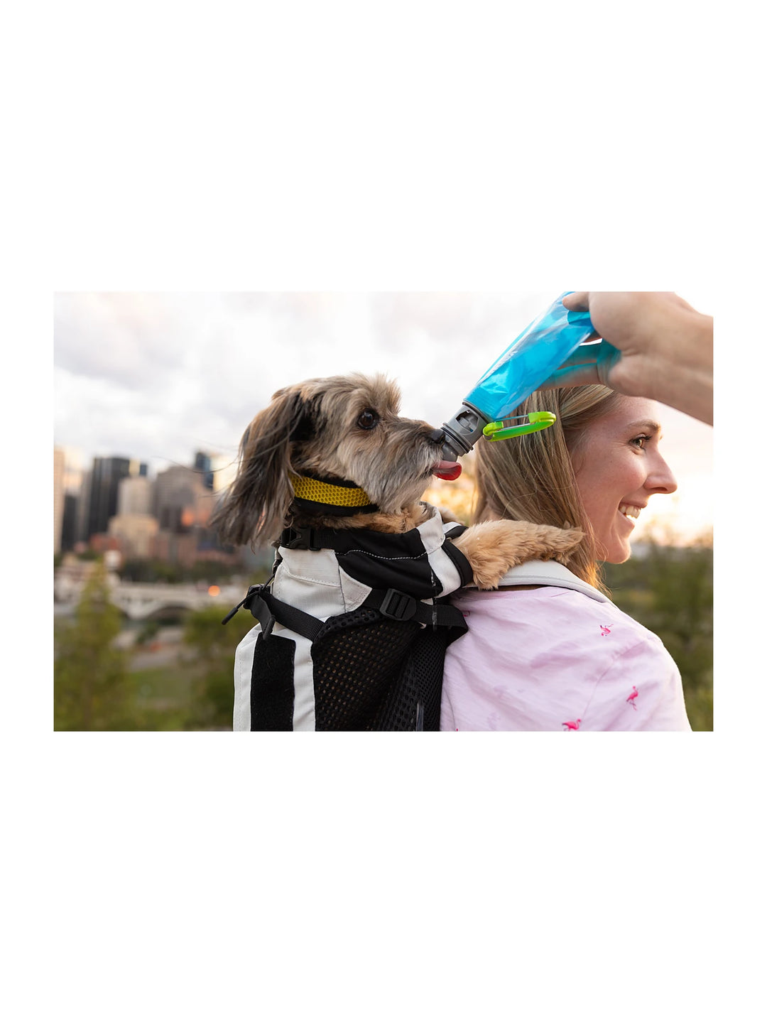 Buy Vapur EZ Lick Portable for Dogs Online - Paw Haven UAE