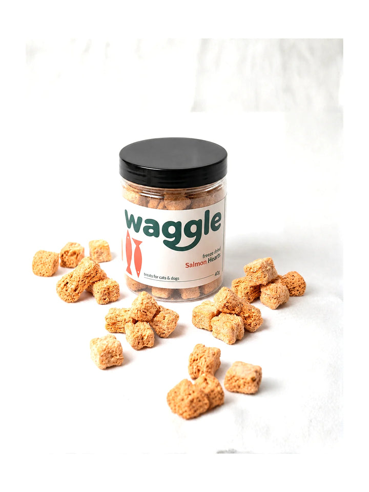 Waggle Freeze Dried Salmon Hearts Treats Cats & Dogs
