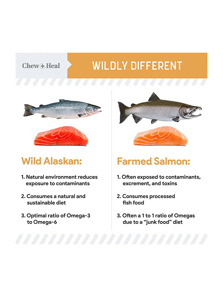 Wild Alaskan Omega Skin + Coat Salmon Soft Jerky Dog Treats