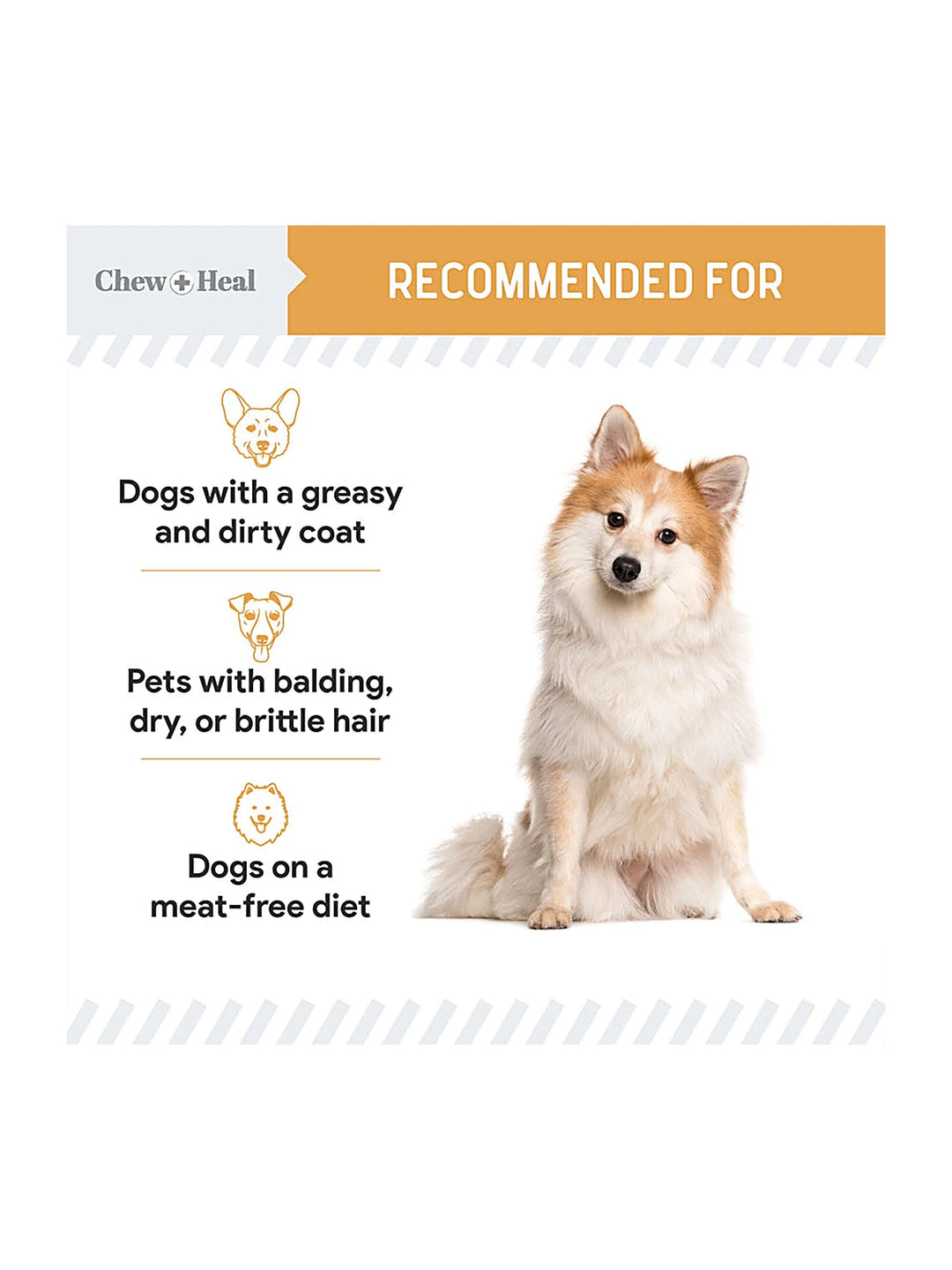 Wild Alaskan Omega Skin + Coat Salmon Soft Jerky Dog Treats