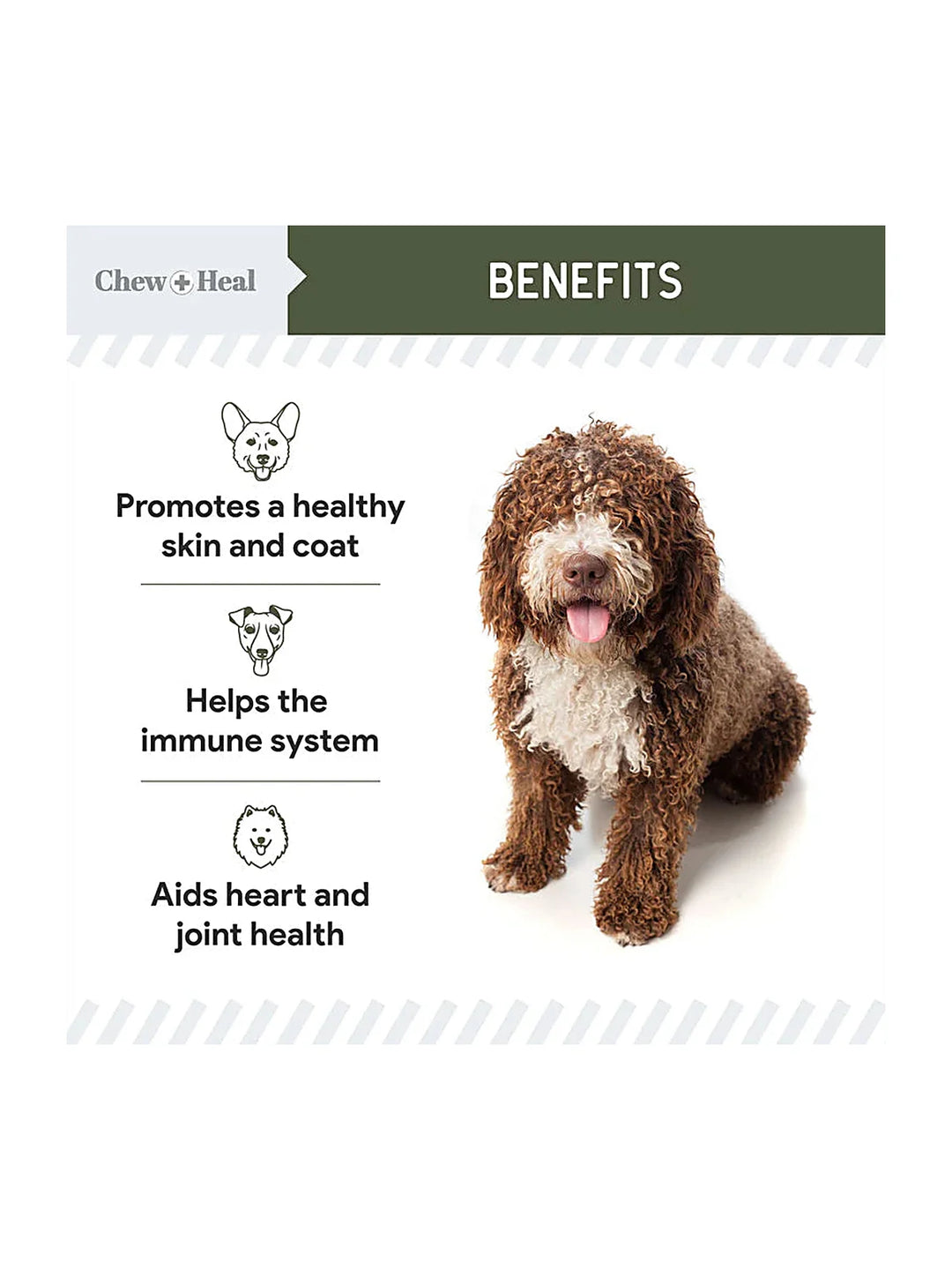 Wild-Caught Cod Liver Oil Salmon Oil Alternative Skin & Coat Liquid Supplement for Dogs