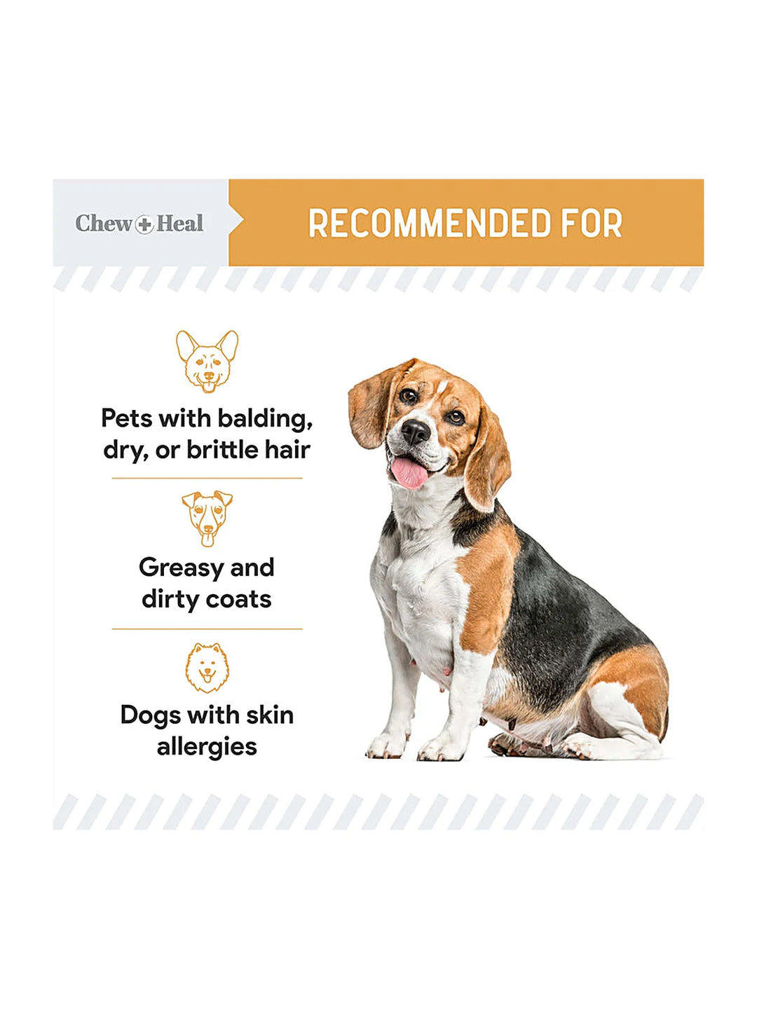 Wild-Caught Omega Skin + Coat Softgels Made with Wild-Caught Fish Oil Supplement for Dogs & Cats