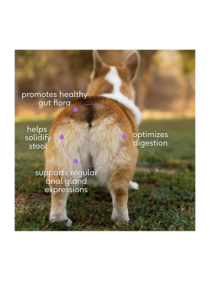 WonderGland Anal gland pumpkin fiber Digestive by Native pet