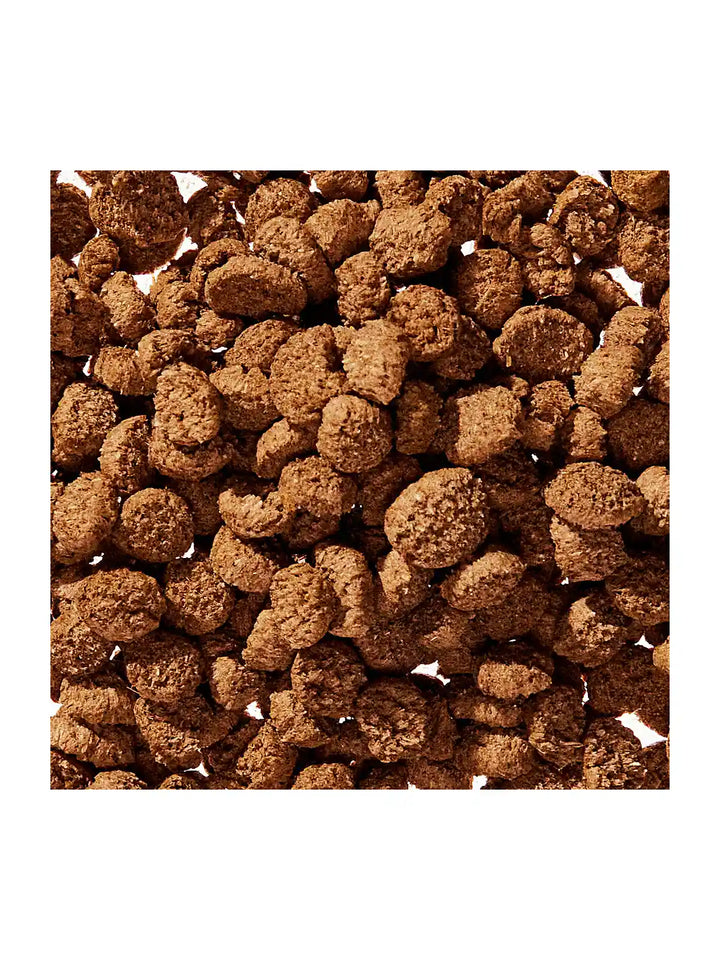 WonderGland Anal gland pumpkin fiber Digestive by Native pet