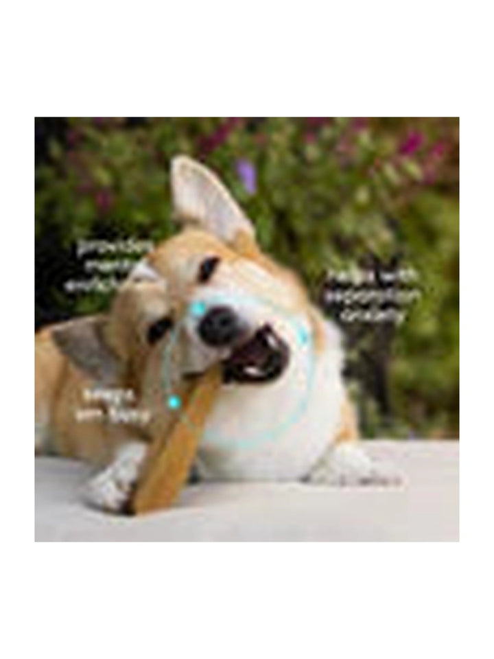 Yak Himalayan Dental Chews
